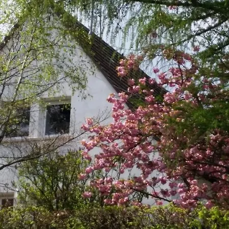 Charming House Riquewihr, Alsace Villa *