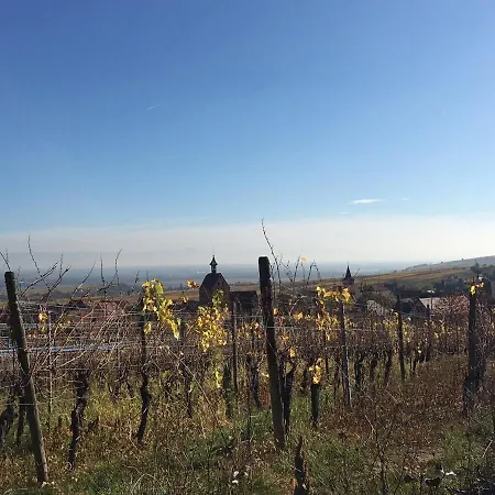 Charming House Riquewihr, Alsace *